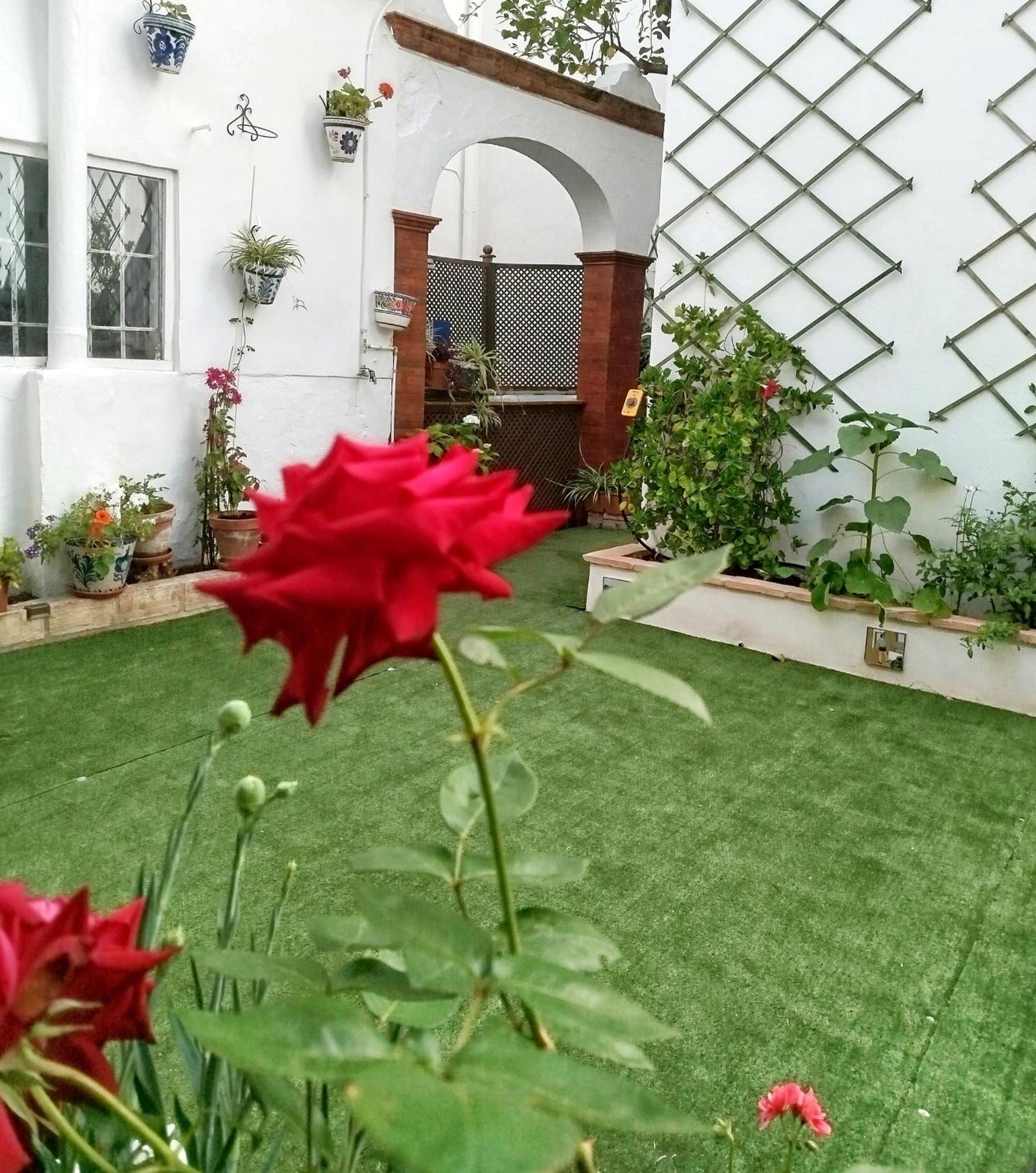 Casa Palacio Domus Astigi (Adults Only) เอทิคา ภายนอก รูปภาพ